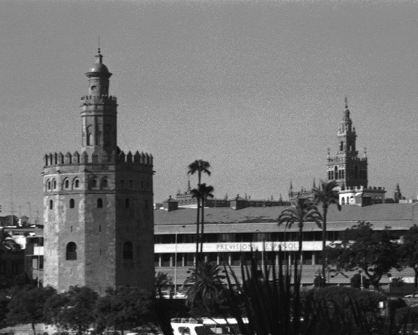 Fotolog de mauricio13 - Foto - Torre Del Oro, Sevilla: Torre Del Oro,Sevilla